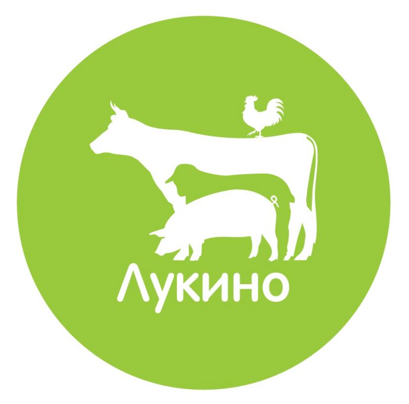 Частный гид экскурсовод в в Тула Мария