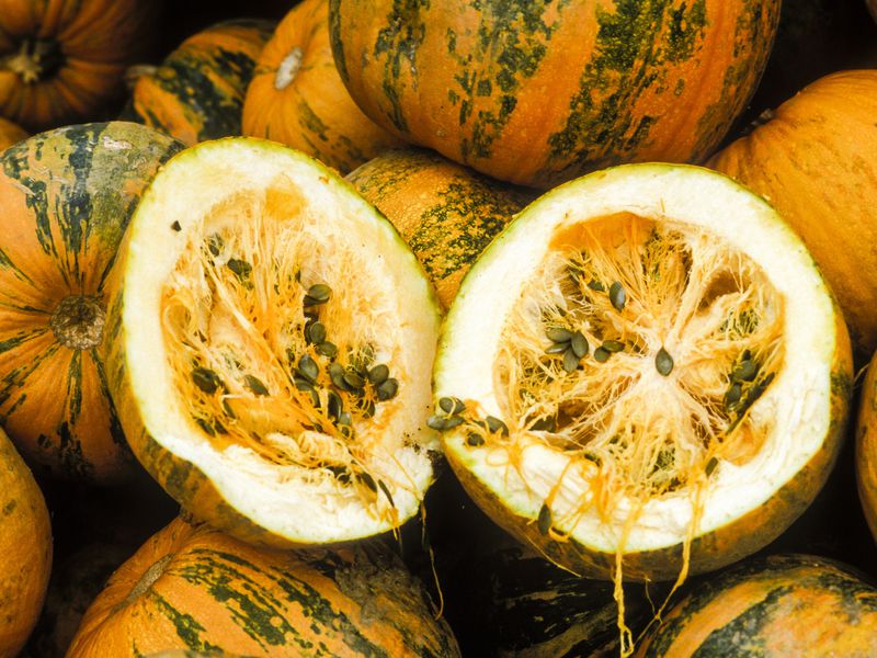 Очарование средневековой Штирии и Граца (10/13)