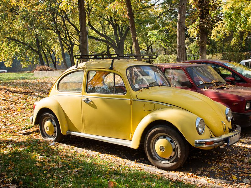 Первый день в Белграде: успеть за два часа (2/13)