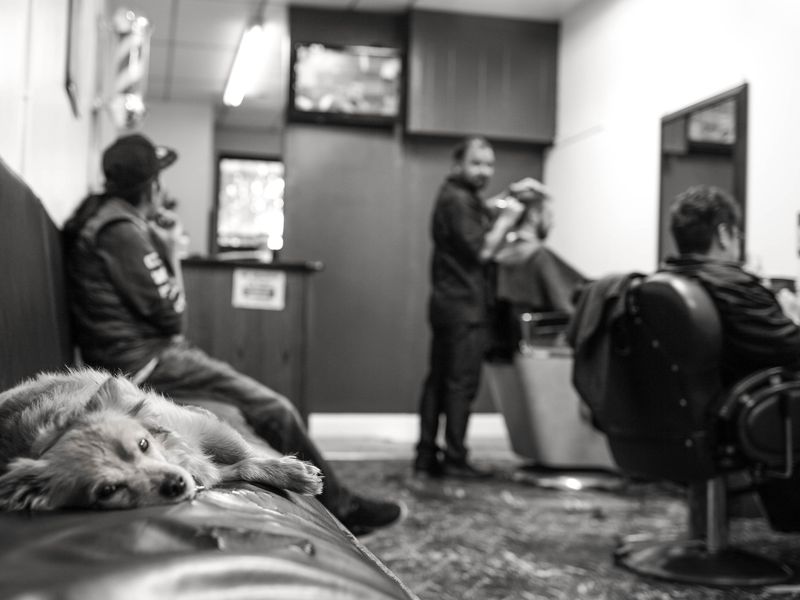 Альтернативный Сан-Франциско (4/15)