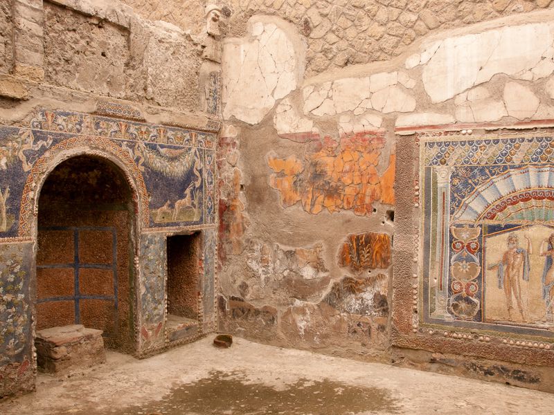 Билеты в город-музей Геркуланум (8/11)