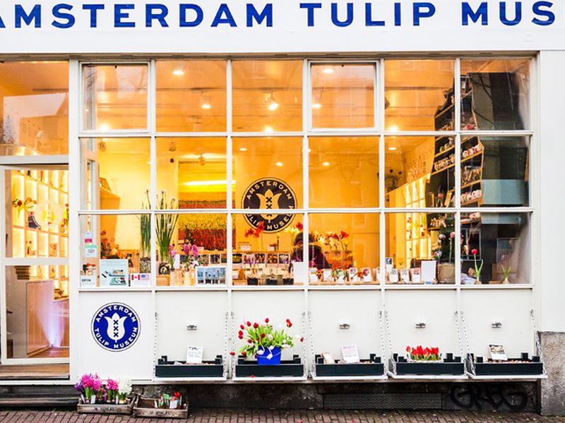 Мультикарта в Амстердаме (10/12)