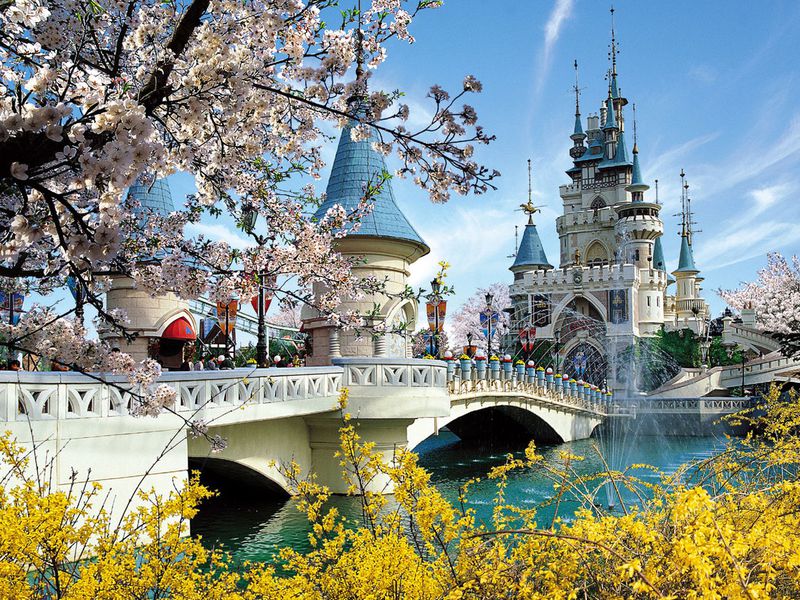 Мультикарта в Сеуле (7/15)