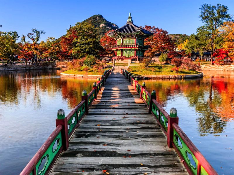 Мультикарта в Сеуле (11/15)