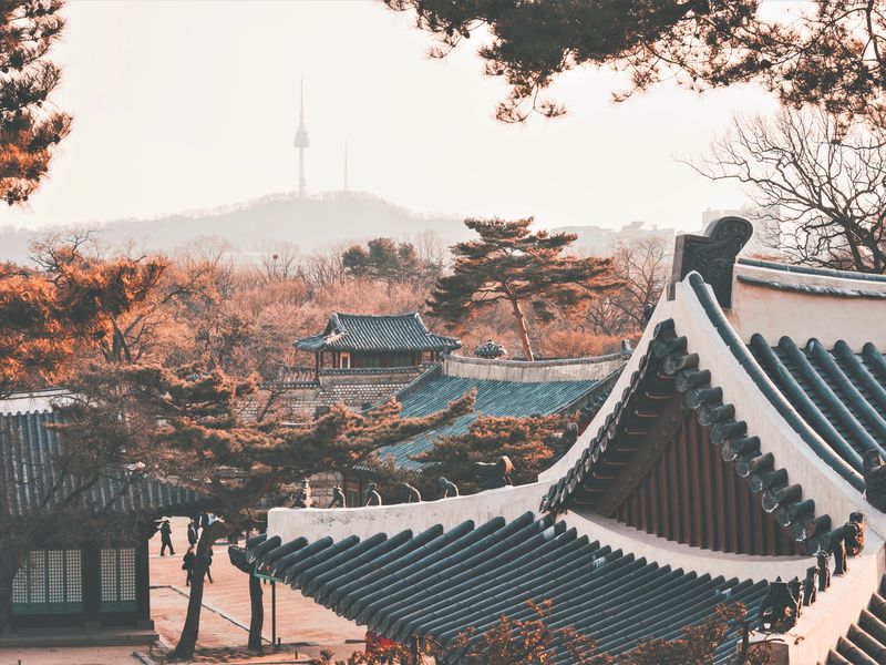 Мультикарта в Сеуле (9/15)