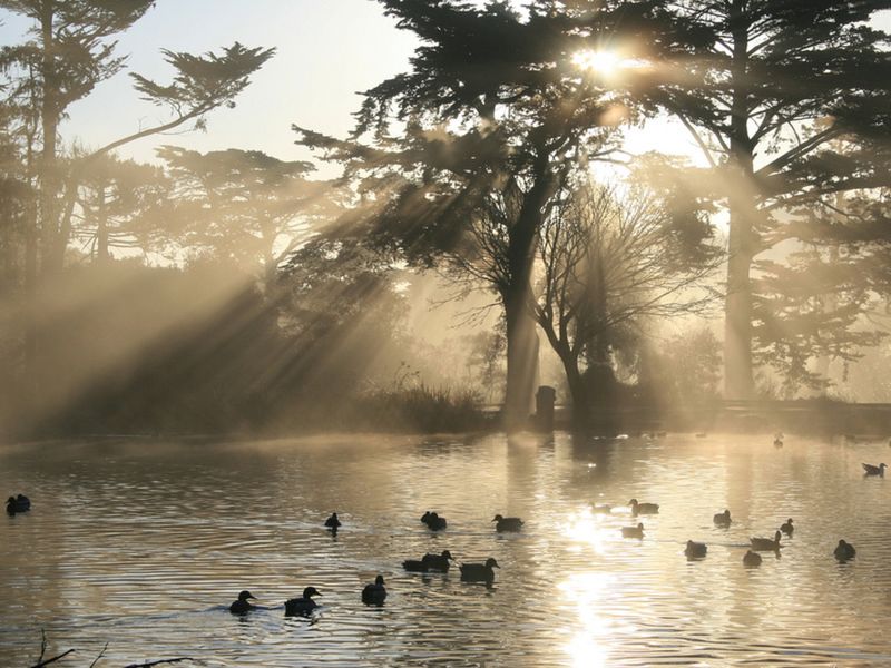 Испытать настоящее вело-приключение в Сан-Франциско (3/17)