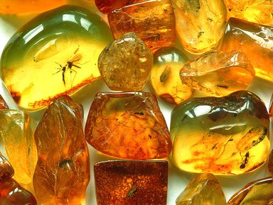 Янтарная комната — тайны, мифы и факты