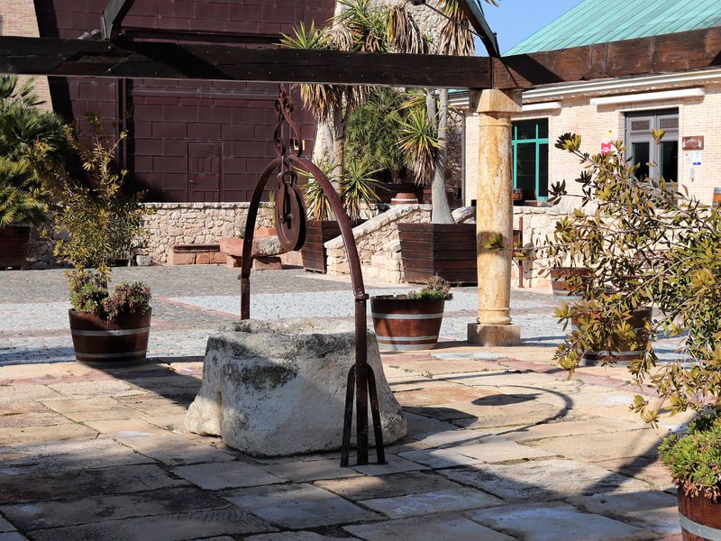 Земля Аликанте: к истокам белого и красного (11/14)