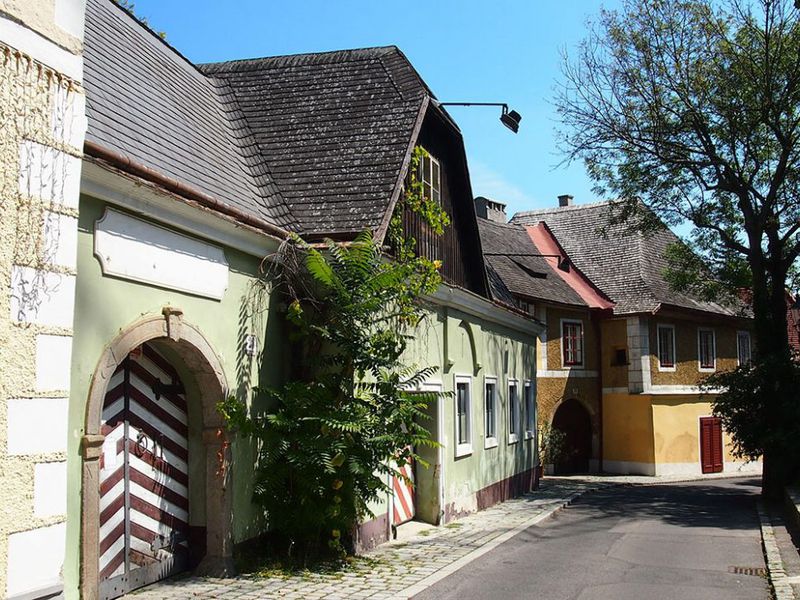 Панорамная Вена и ее окрестности — необычные экскурсии в Вене