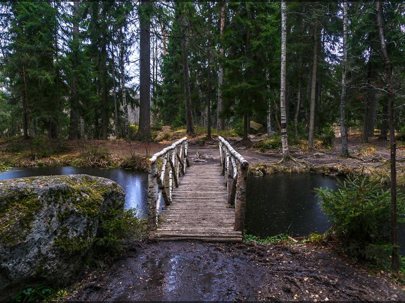 Выборг: загадки Монрепо (8/11)