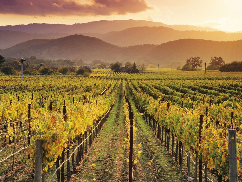 Земля Аликанте: к истокам белого и красного (3/14)