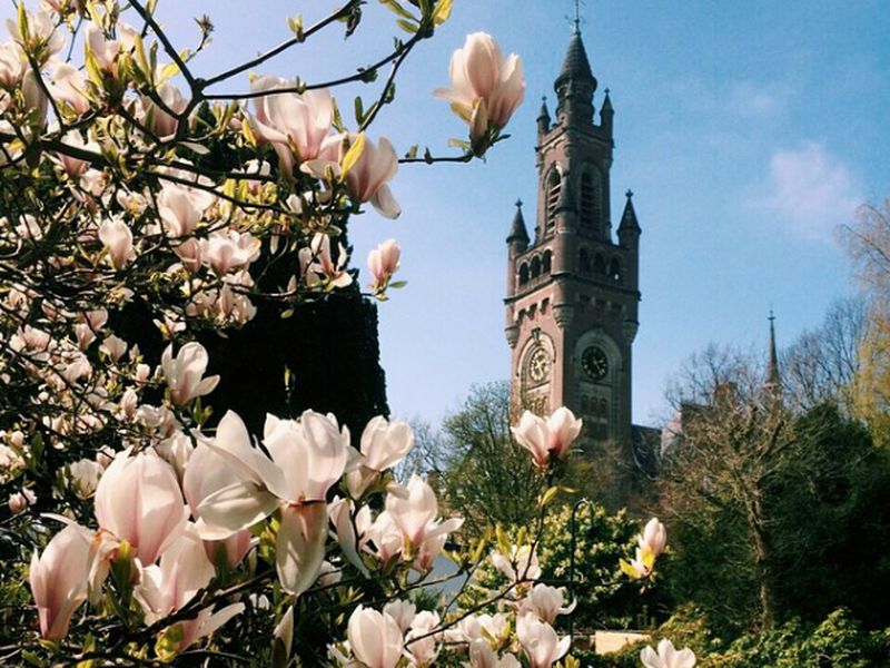 Добро пожаловать в Гаагу! (2/10)