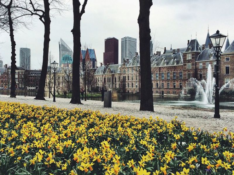 Добро пожаловать в Гаагу! (5/10)