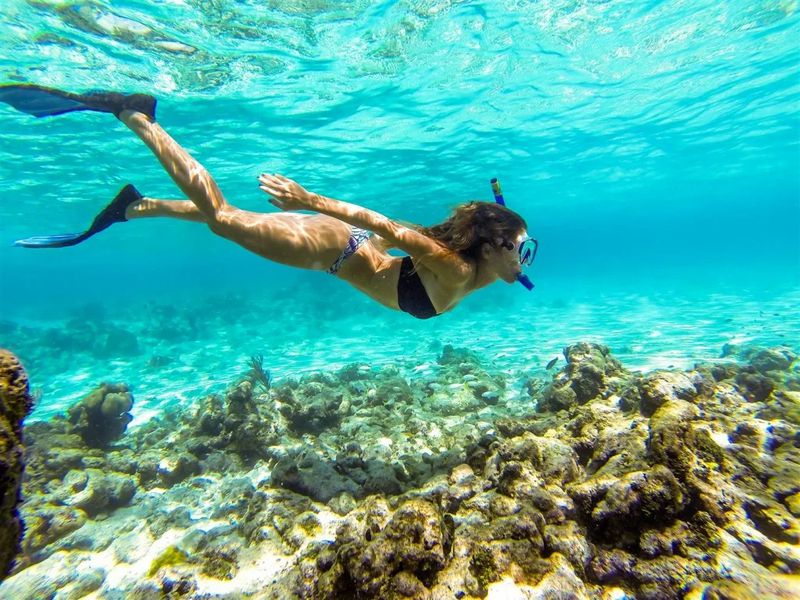 Снорклинг у острова Мнемба (3/10)