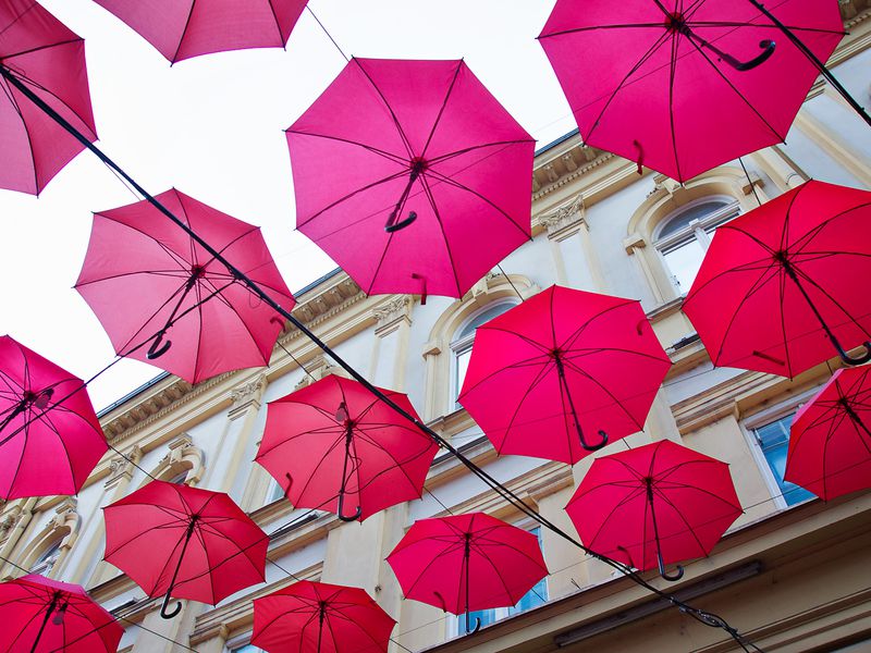 Первый день в Белграде: успеть за два часа (4/13)