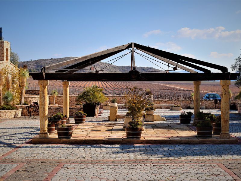 Земля Аликанте: к истокам белого и красного (13/14)