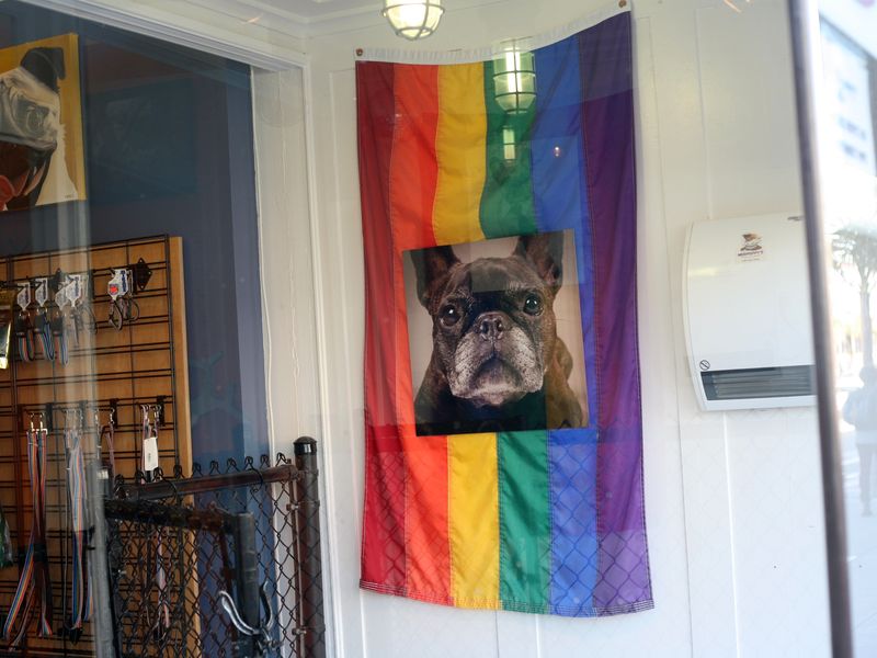 Альтернативный Сан-Франциско (6/15)