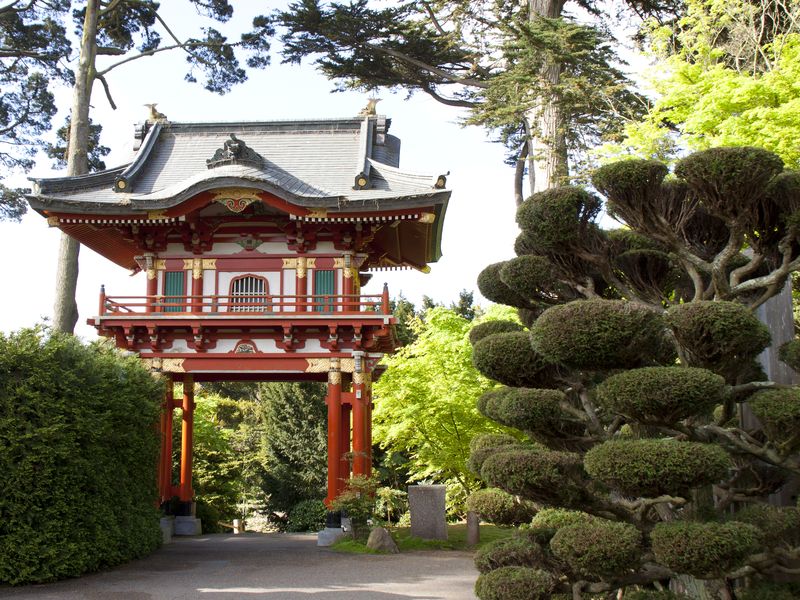 Испытать настоящее вело-приключение в Сан-Франциско (5/17)