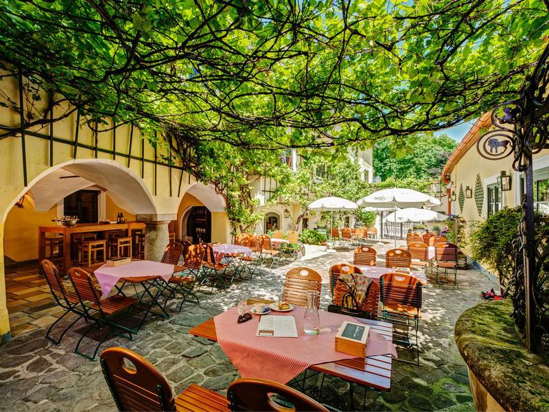 Панорамная Вена и ее окрестности — необычные экскурсии в Вене