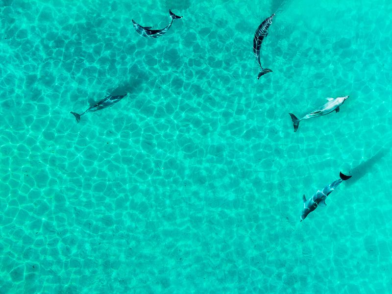 Снорклинг у острова Мнемба (8/10)