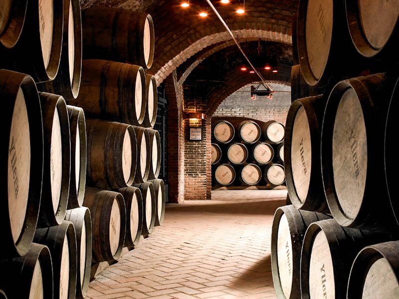 Земля Аликанте: к истокам белого и красного (6/14)