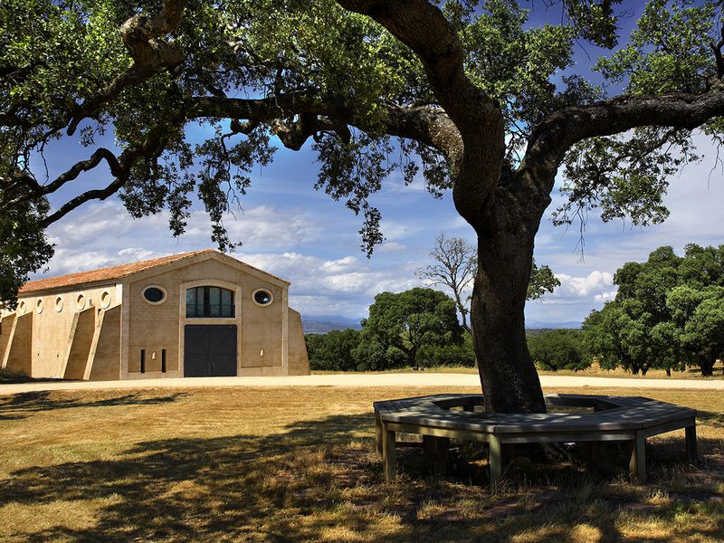 Земля Аликанте: к истокам белого и красного (2/14)