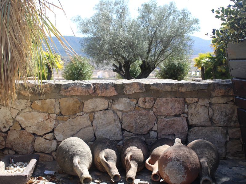 Из Аликанте — в идиллическую сельскую Испанию! (15/15)