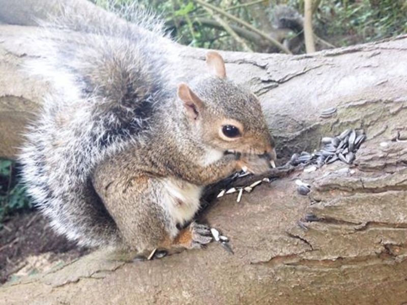Испытать настоящее вело-приключение в Сан-Франциско (4/17)