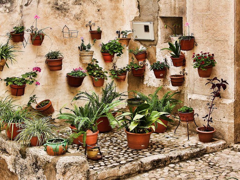 Из Аликанте — в средневековый Бокайренте! (7/14)