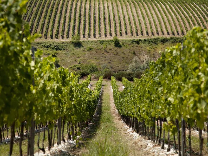 Гастро-путешестивие в город прошлого (2/9)