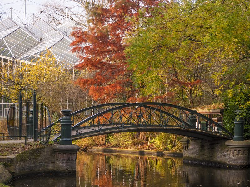 На шлюпке по каналам Амстердама (13/15)