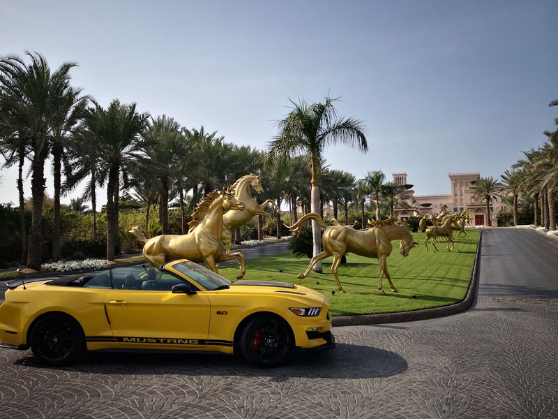 По Дубаю на кабриолете (15/15)