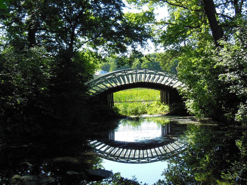 Выборг: загадки Монрепо (6/11)