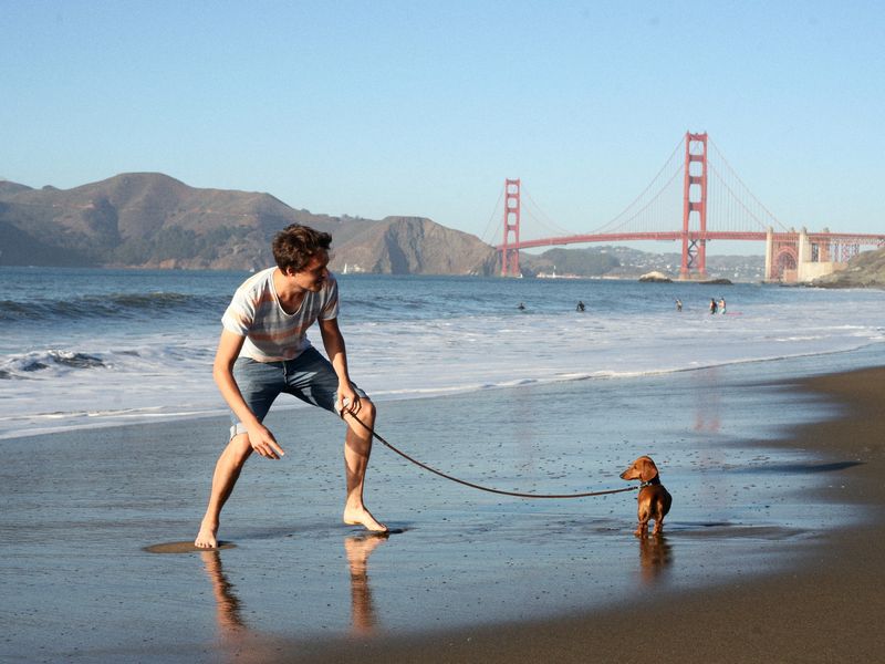 Испытать настоящее вело-приключение в Сан-Франциско (7/17)