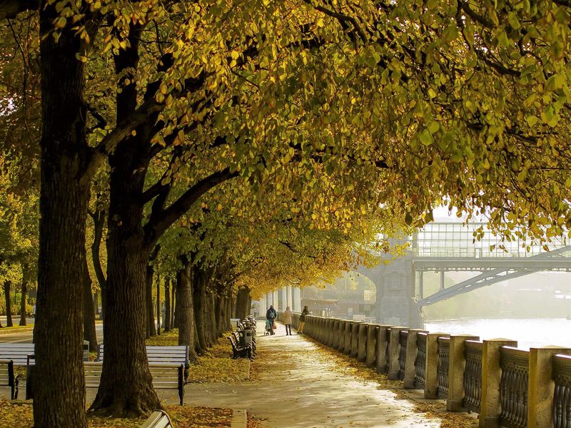 Парк Горького — фабрика счастливых людей (6/12)