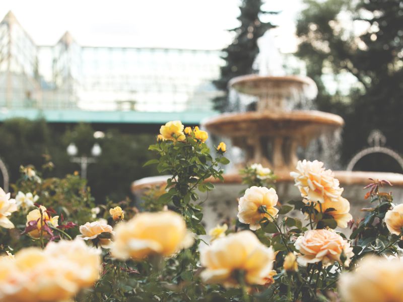 Парк Горького — фабрика счастливых людей (2/12)