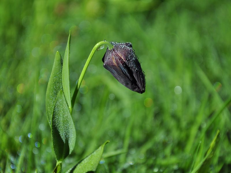 На внедорожнике — к самым живописным местам Абхазии! (5/12)