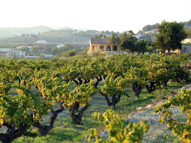 Из Аликанте — в идиллическую сельскую Испанию! (2/15)