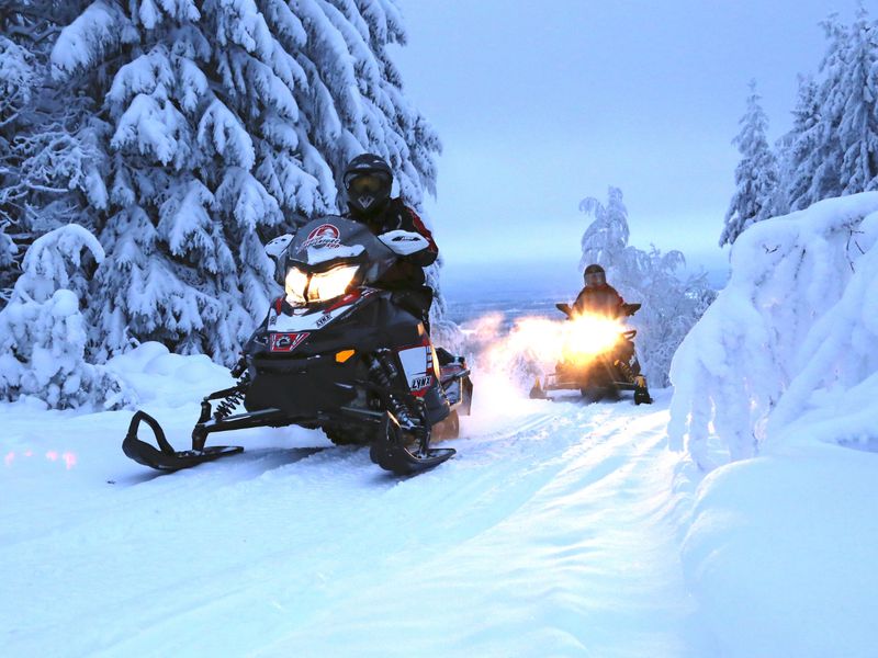 «Навстречу северной Авроры» в компании хаски! (12/12)