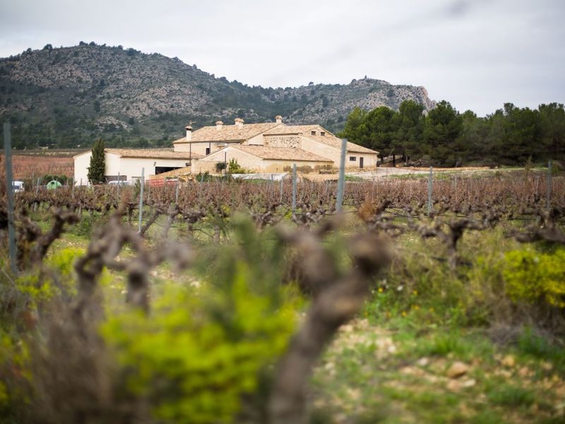 Из Аликанте — в идиллическую сельскую Испанию! (5/15)