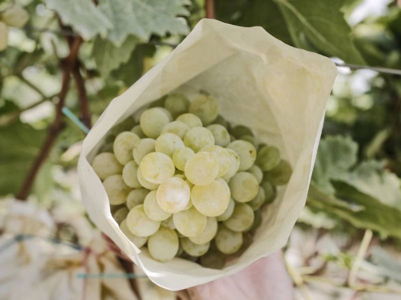 Из Аликанте — в идиллическую сельскую Испанию! (3/15)