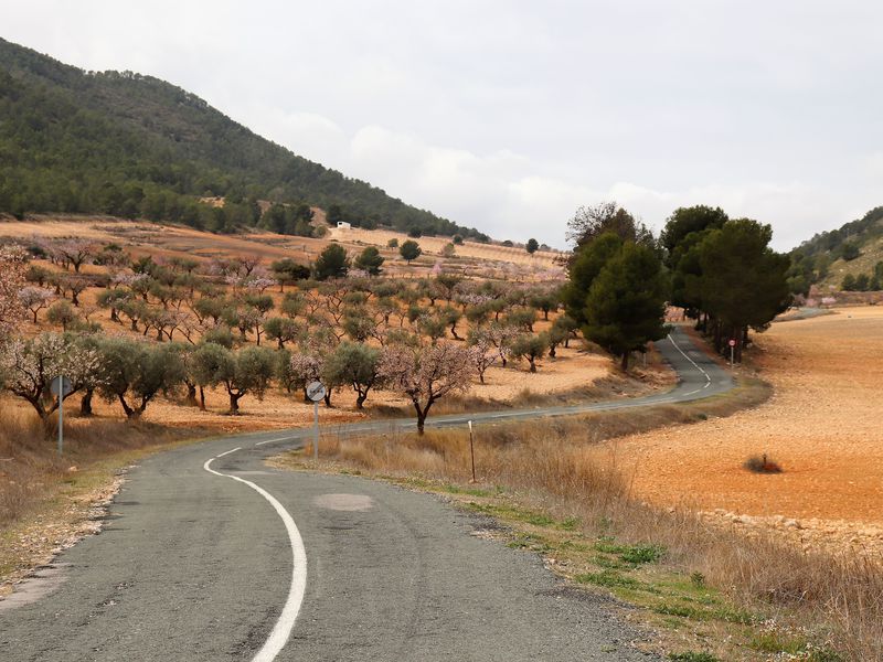 Из Аликанте — в идиллическую сельскую Испанию! (11/15)
